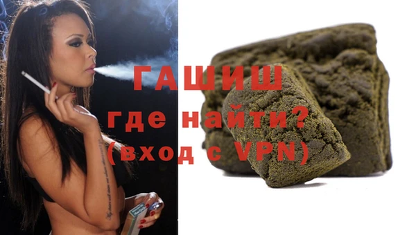 прущие грибы Абаза