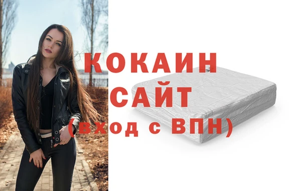 прущие грибы Абаза