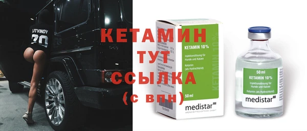 прущие грибы Абаза