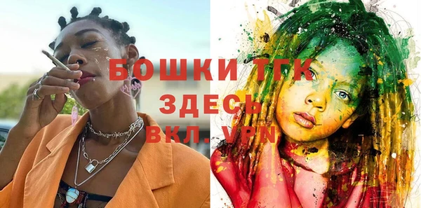 индика Протвино