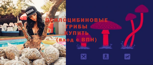 a pvp Абинск