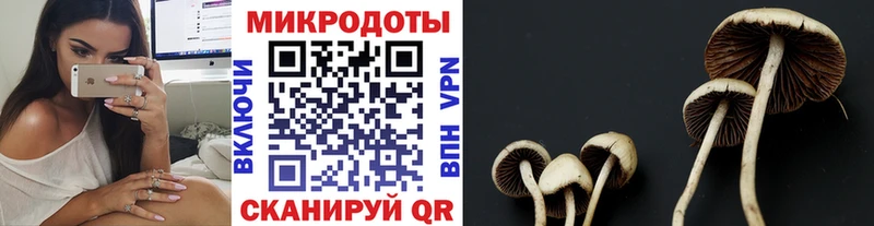 Псилоцибиновые грибы мухоморы  ссылка на мегу рабочий сайт  Зеленодольск 